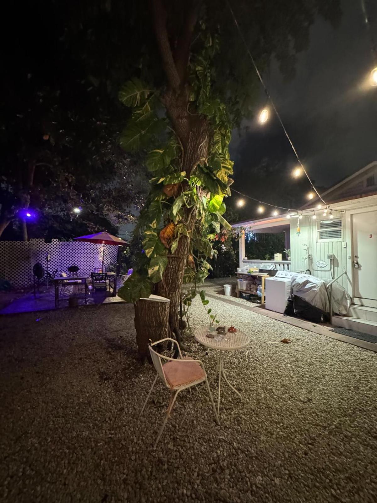 Deluxe Room In Best Location Miami In A 2 Bedrooms Unit - Parking, Laundry And Luggage Storage Εξωτερικό φωτογραφία